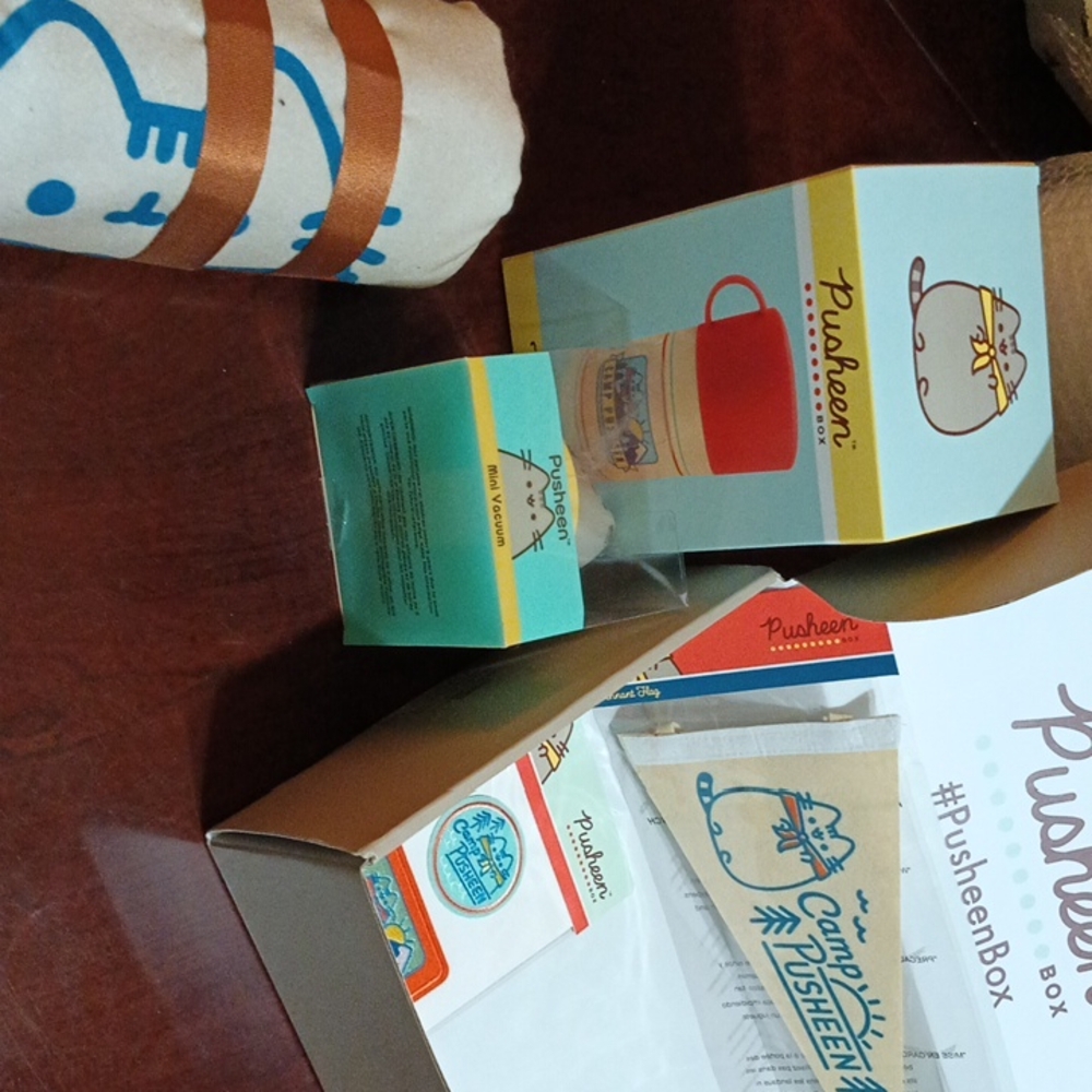 Pusheen Items